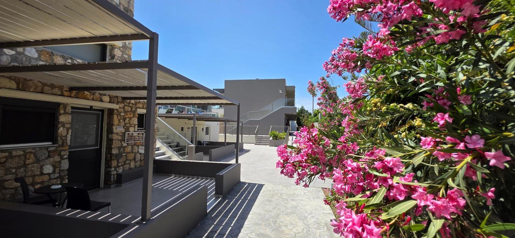 Cosmopolitan Hotel Bagian luar foto